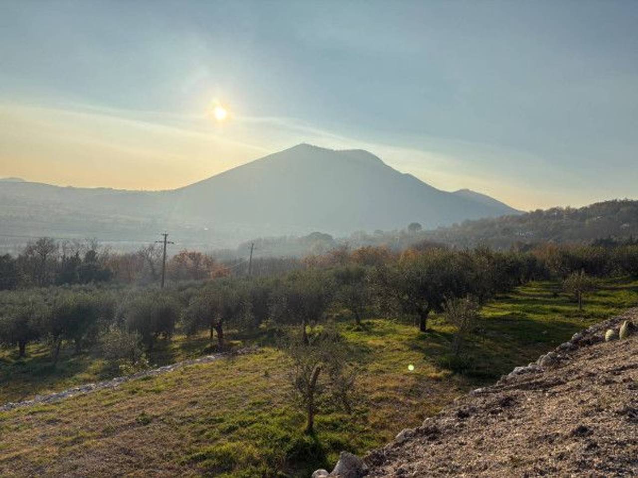 immagine annuncio 3 di 7
