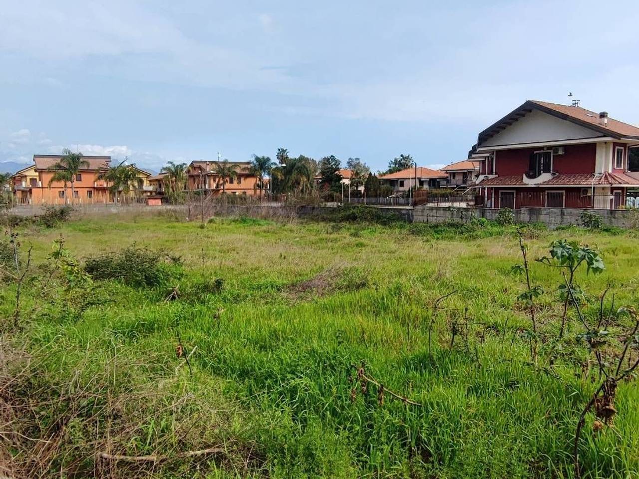 immagine annuncio 2 di 7