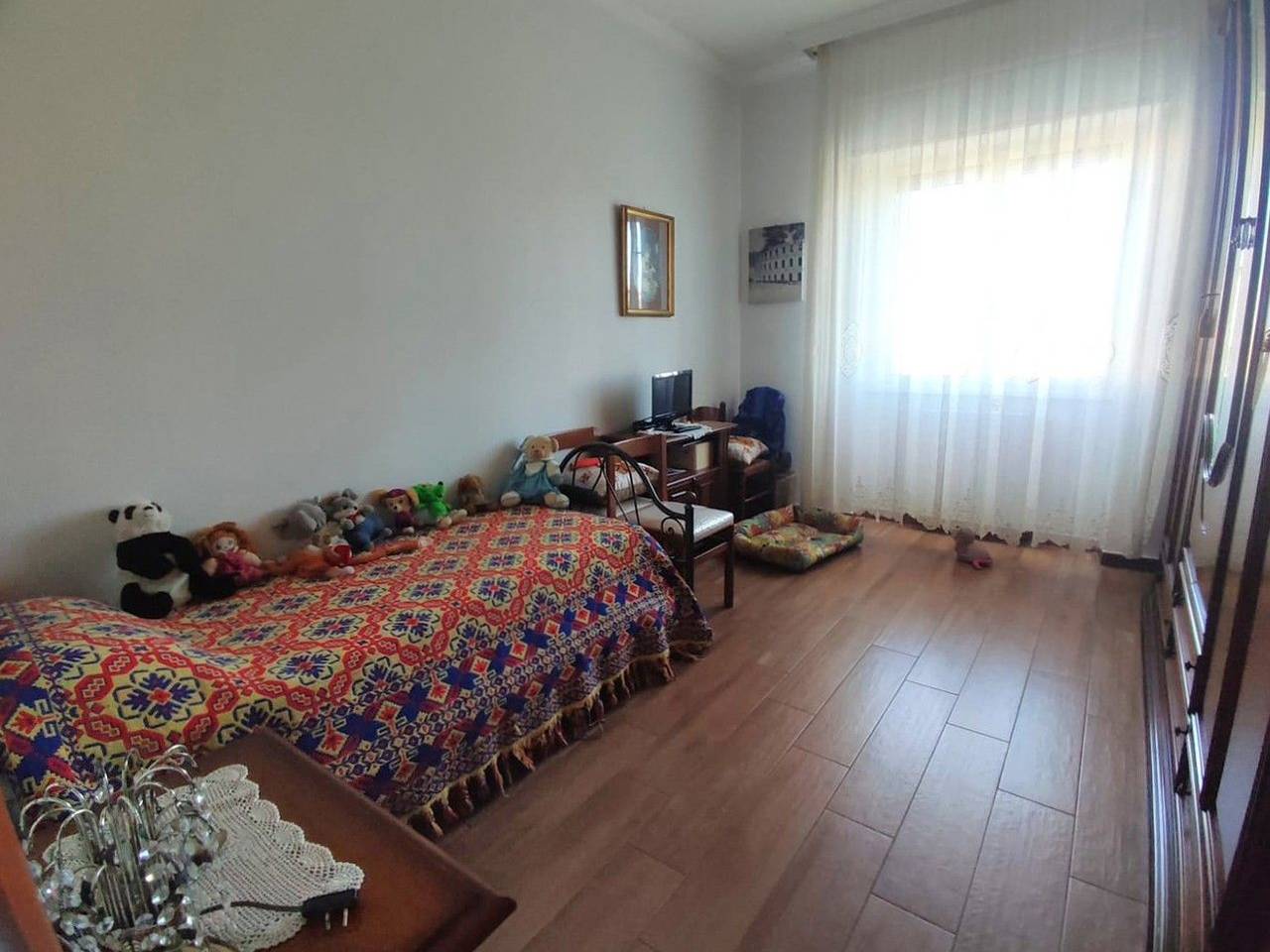 immagine annuncio 6 di 11