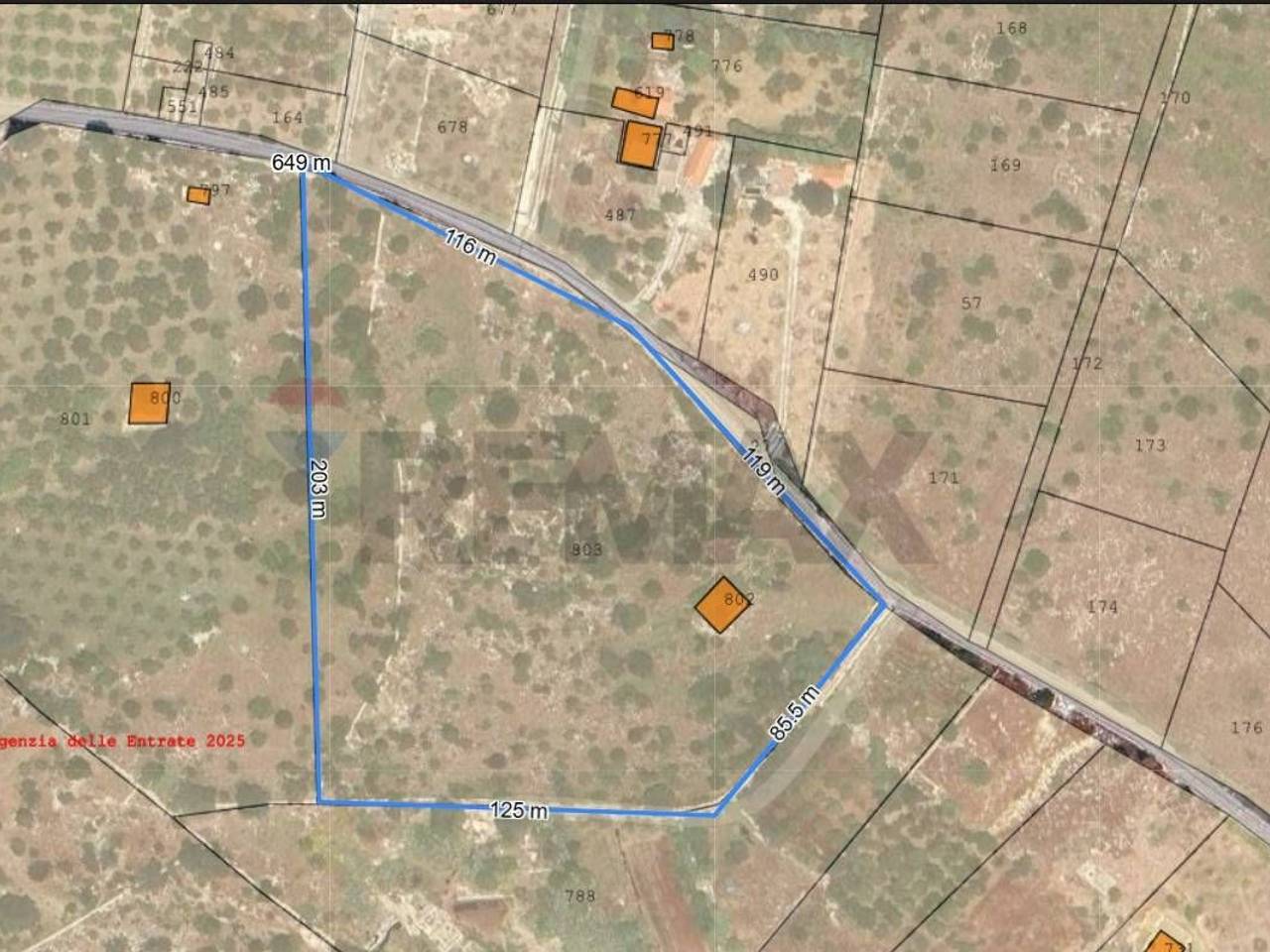 immagine annuncio 9 di 10