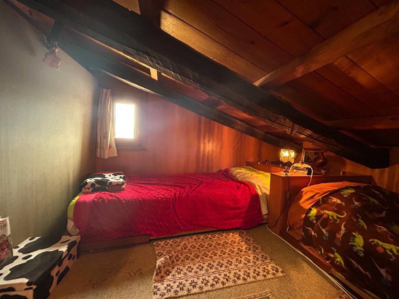 immagine annuncio 2 di 12