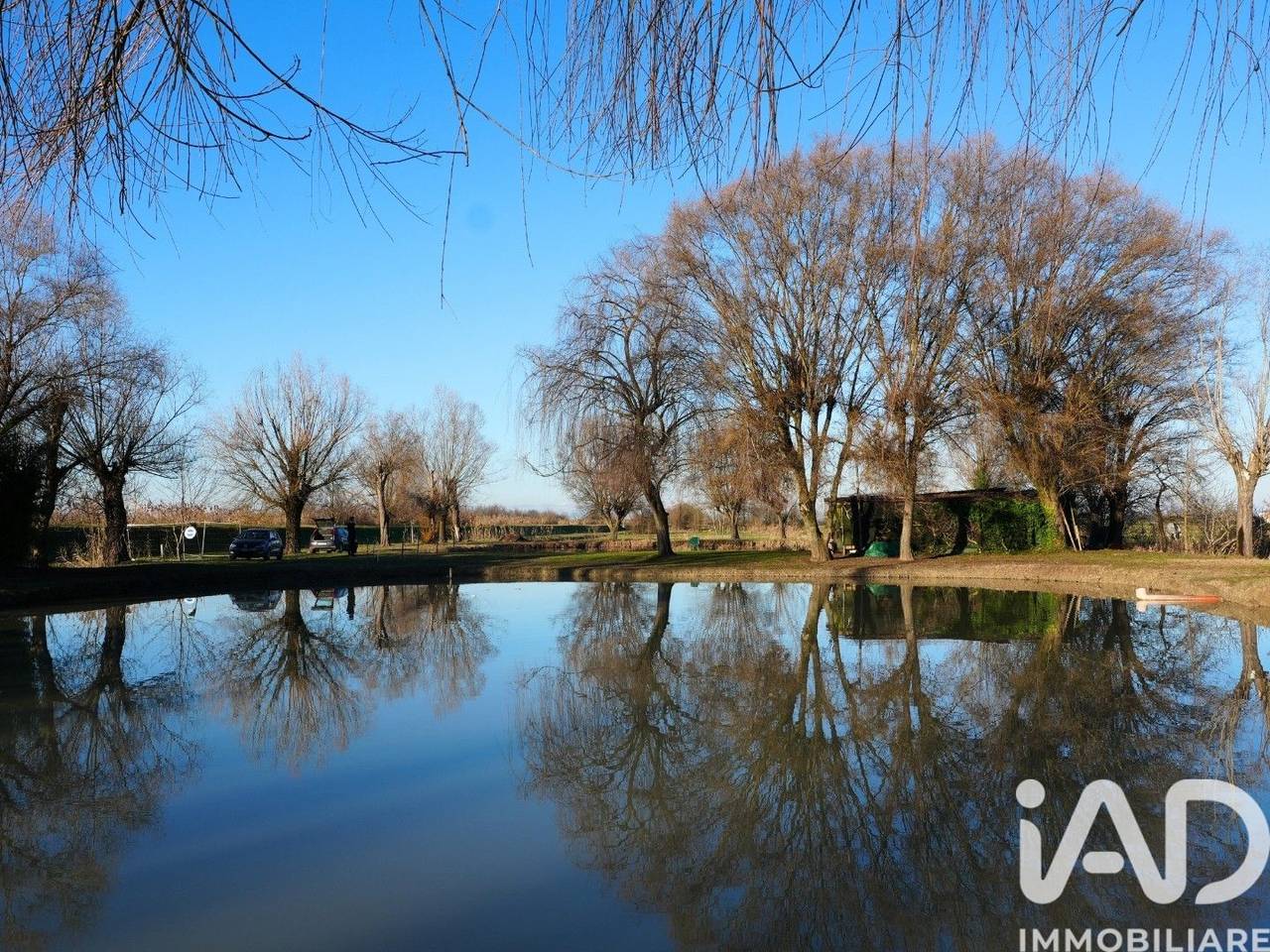 immagine annuncio 4 di 9