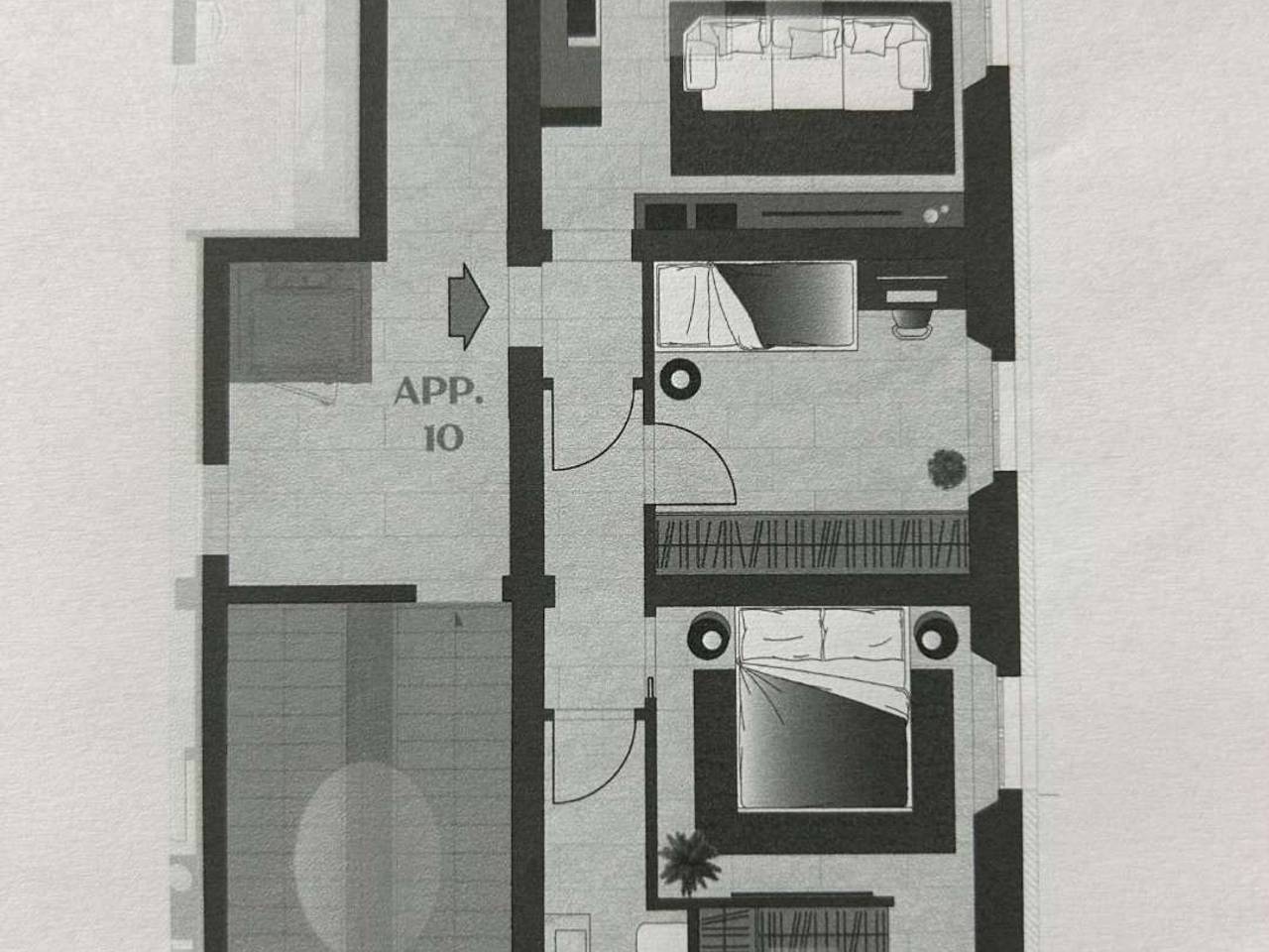 immagine annuncio 5 di 15