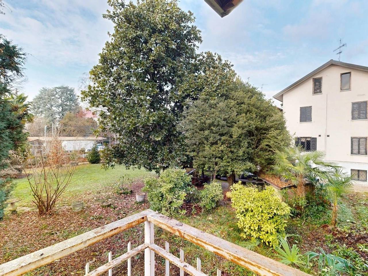 immagine annuncio 1 di 15