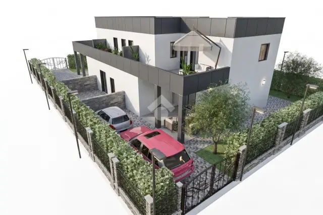 insertion image