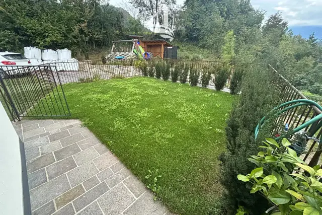 insertion image