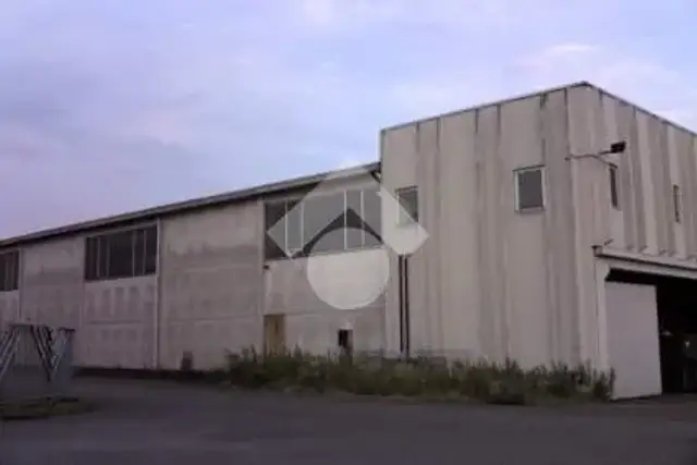 insertion image