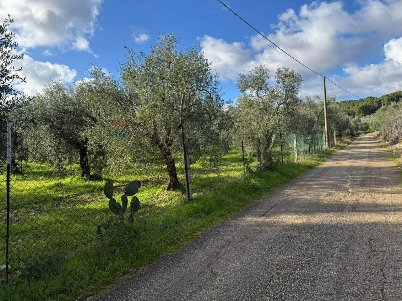 immagine annuncio 3 di 12