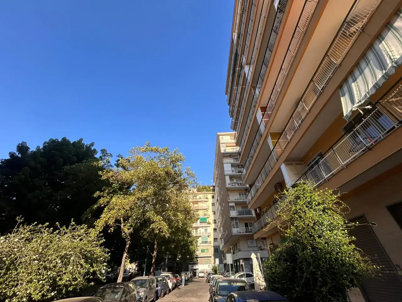 Negozio in Piazza dell'Immacolata, Napoli, {3} - Foto 2