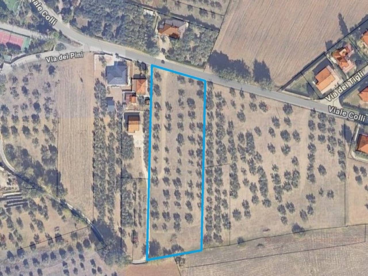 immagine annuncio 3 di 4