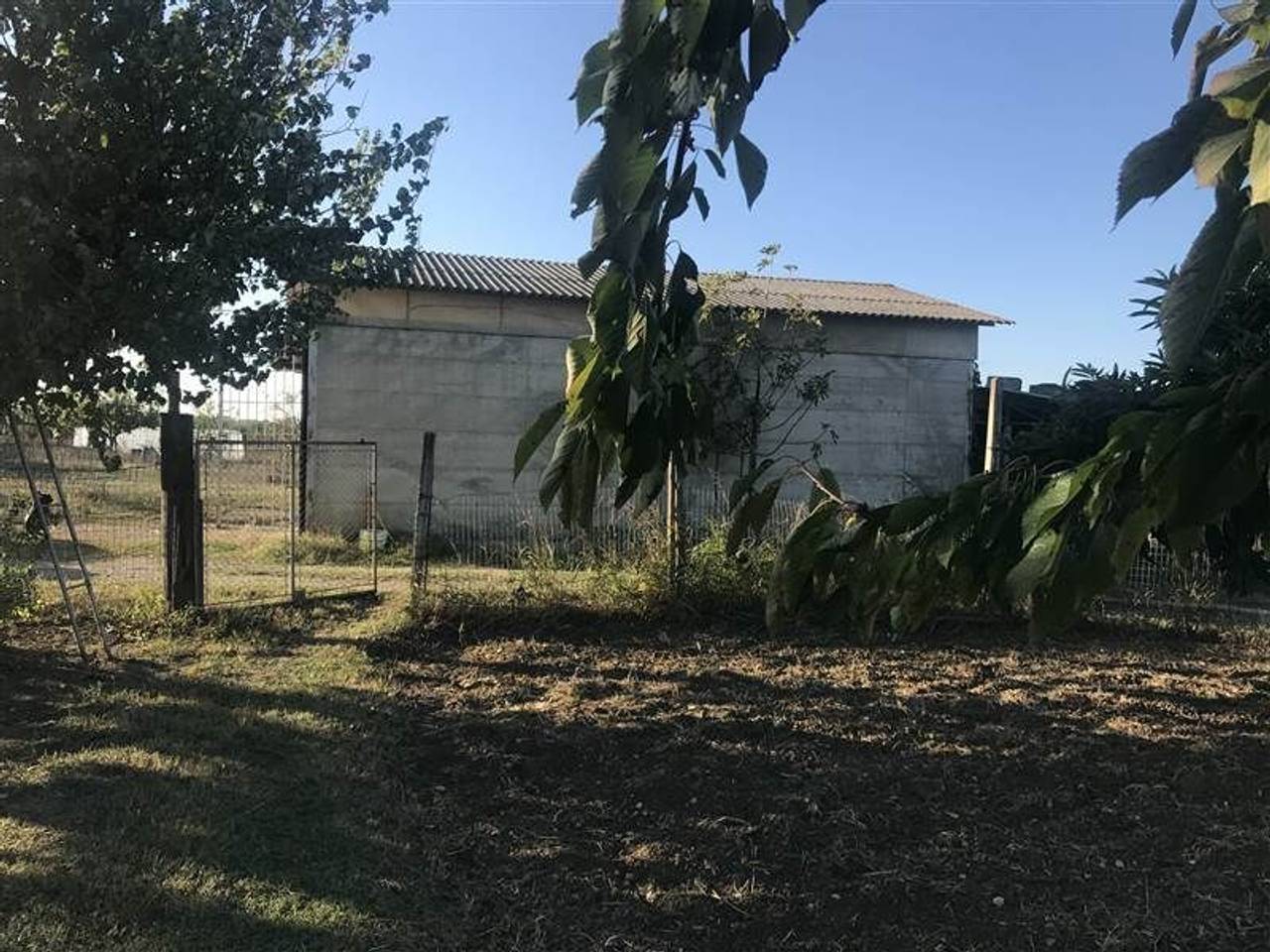 immagine annuncio 4 di 6