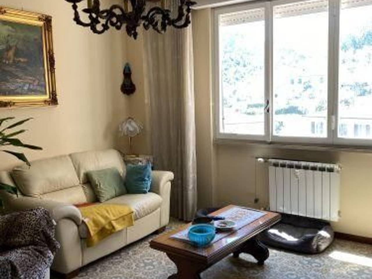 immagine annuncio 3 di 8