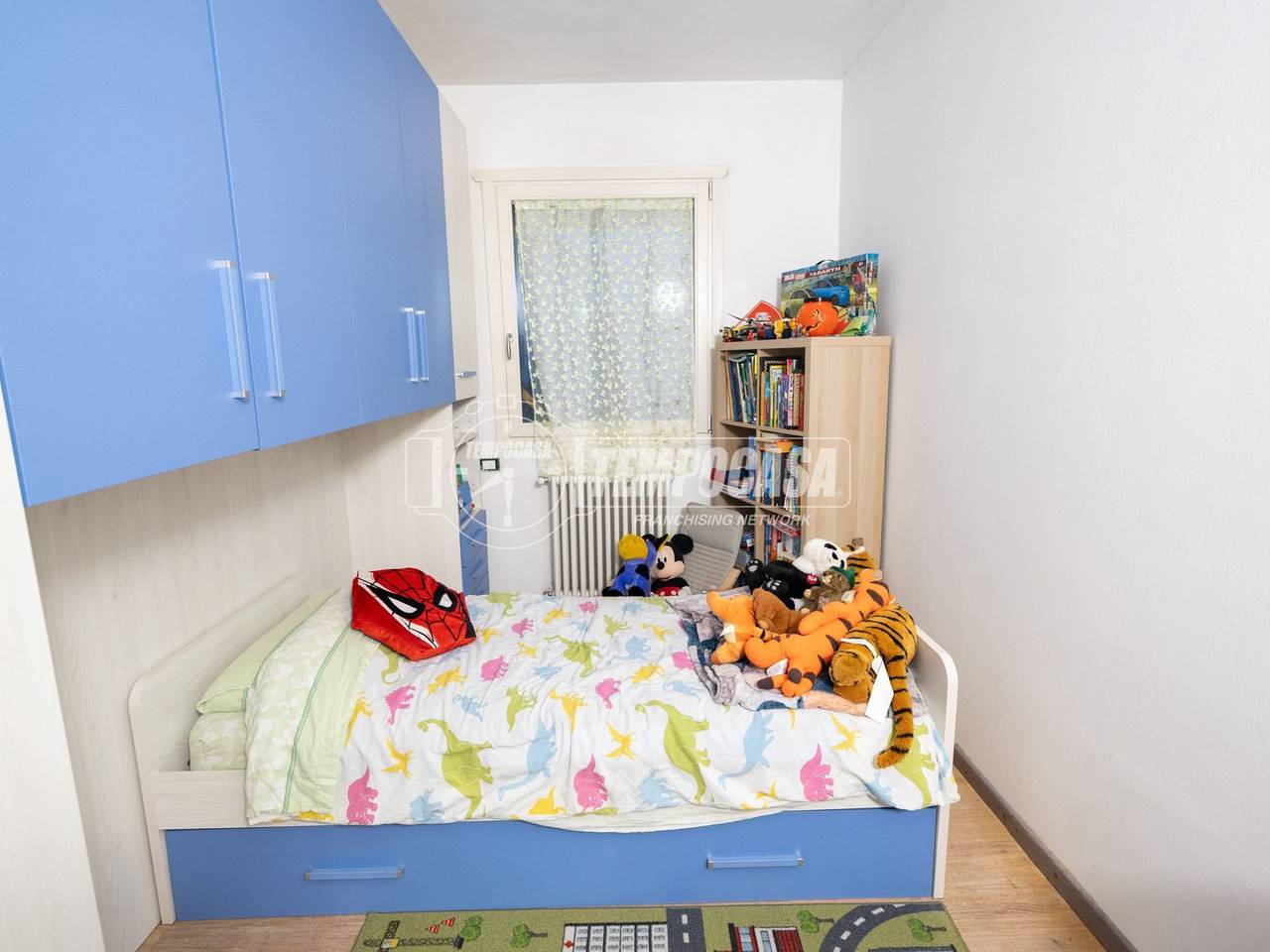 immagine annuncio 6 di 15