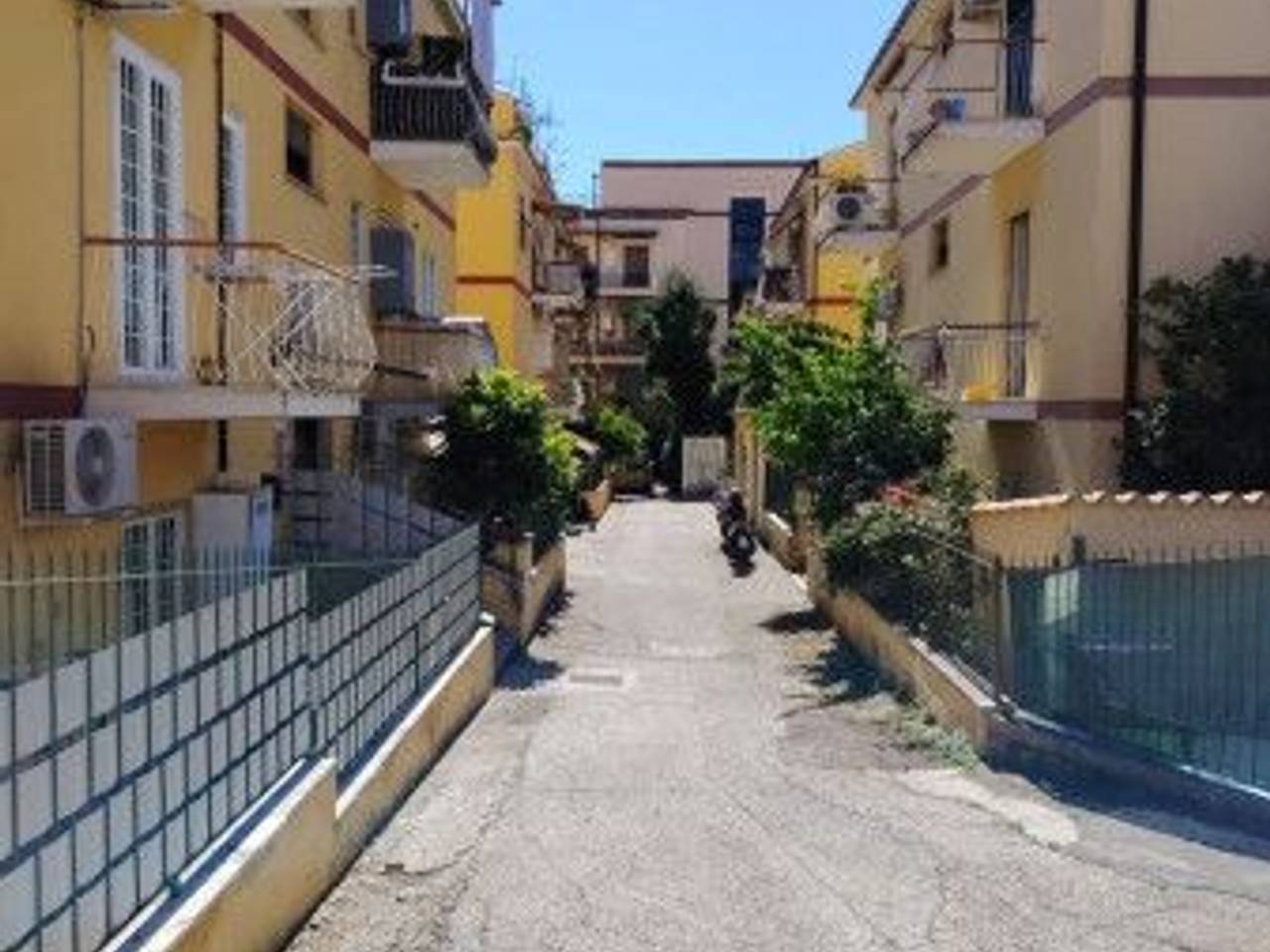 immagine annuncio 2 di 6