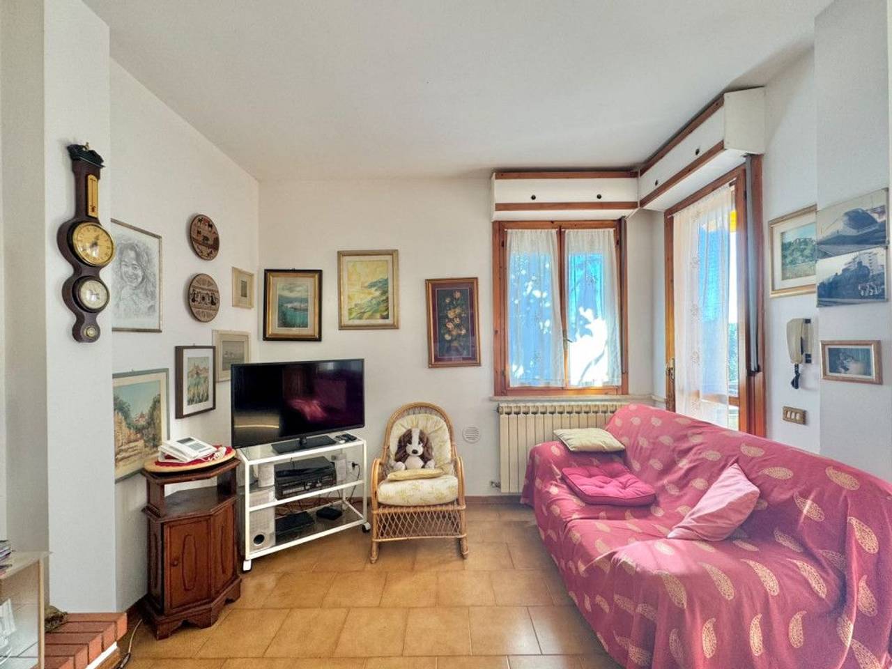 immagine annuncio 4 di 15