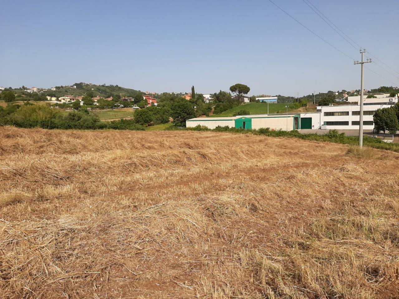 immagine annuncio 4 di 7