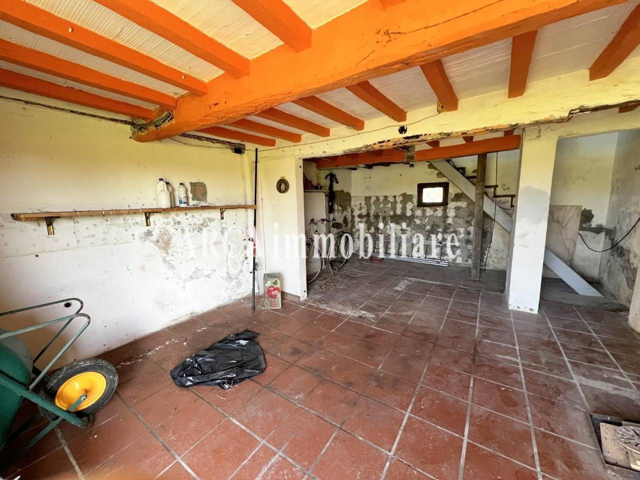 immagine annuncio 12 di 14