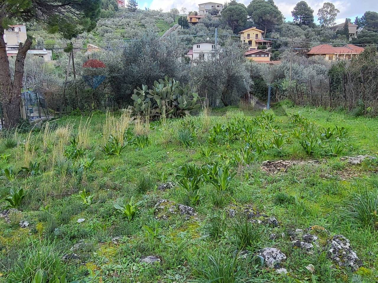 immagine annuncio 8 di 13