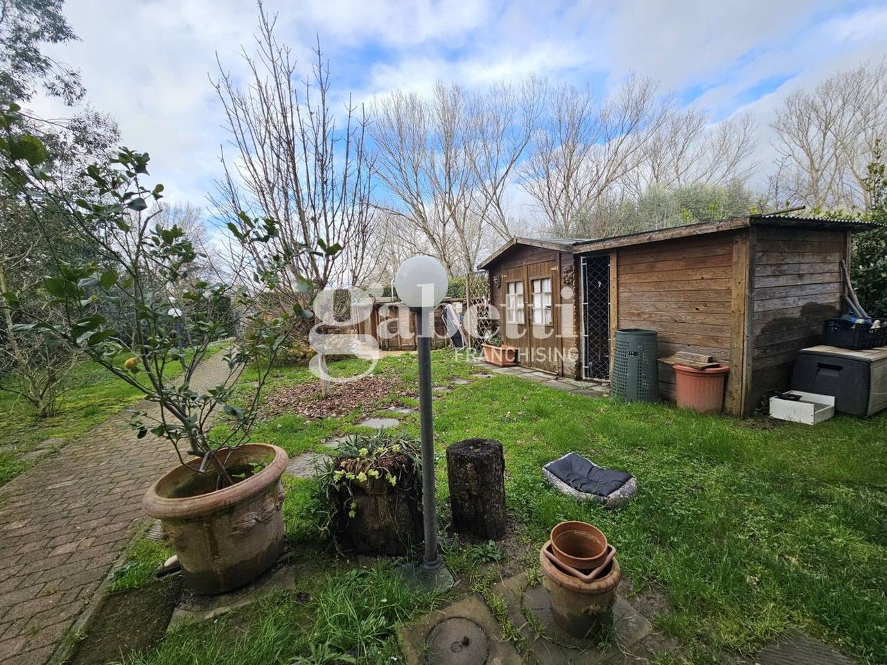 immagine annuncio 5 di 15