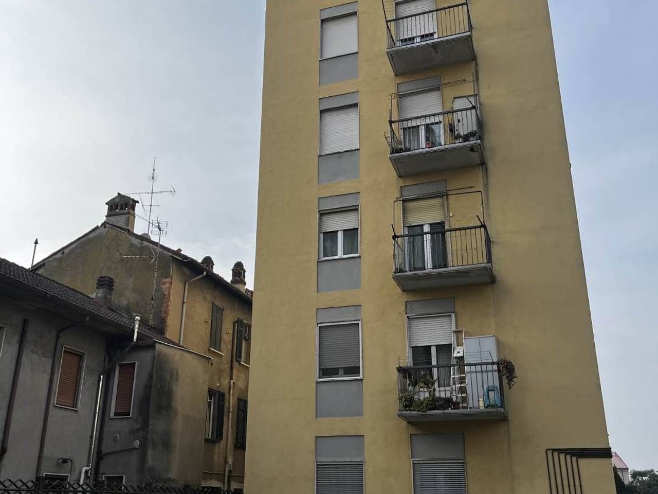 immagine annuncio 1 di 15