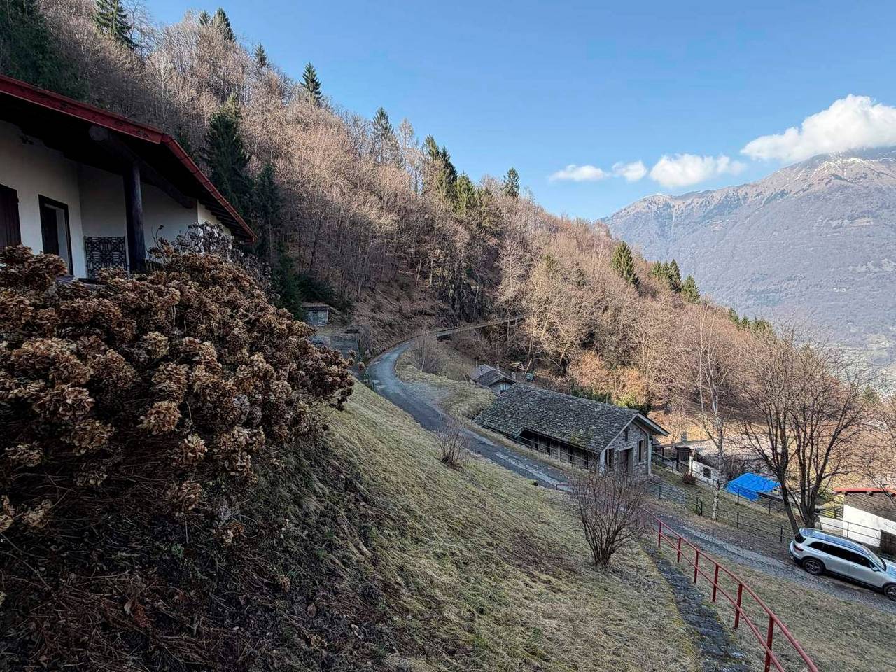 immagine annuncio 4 di 15