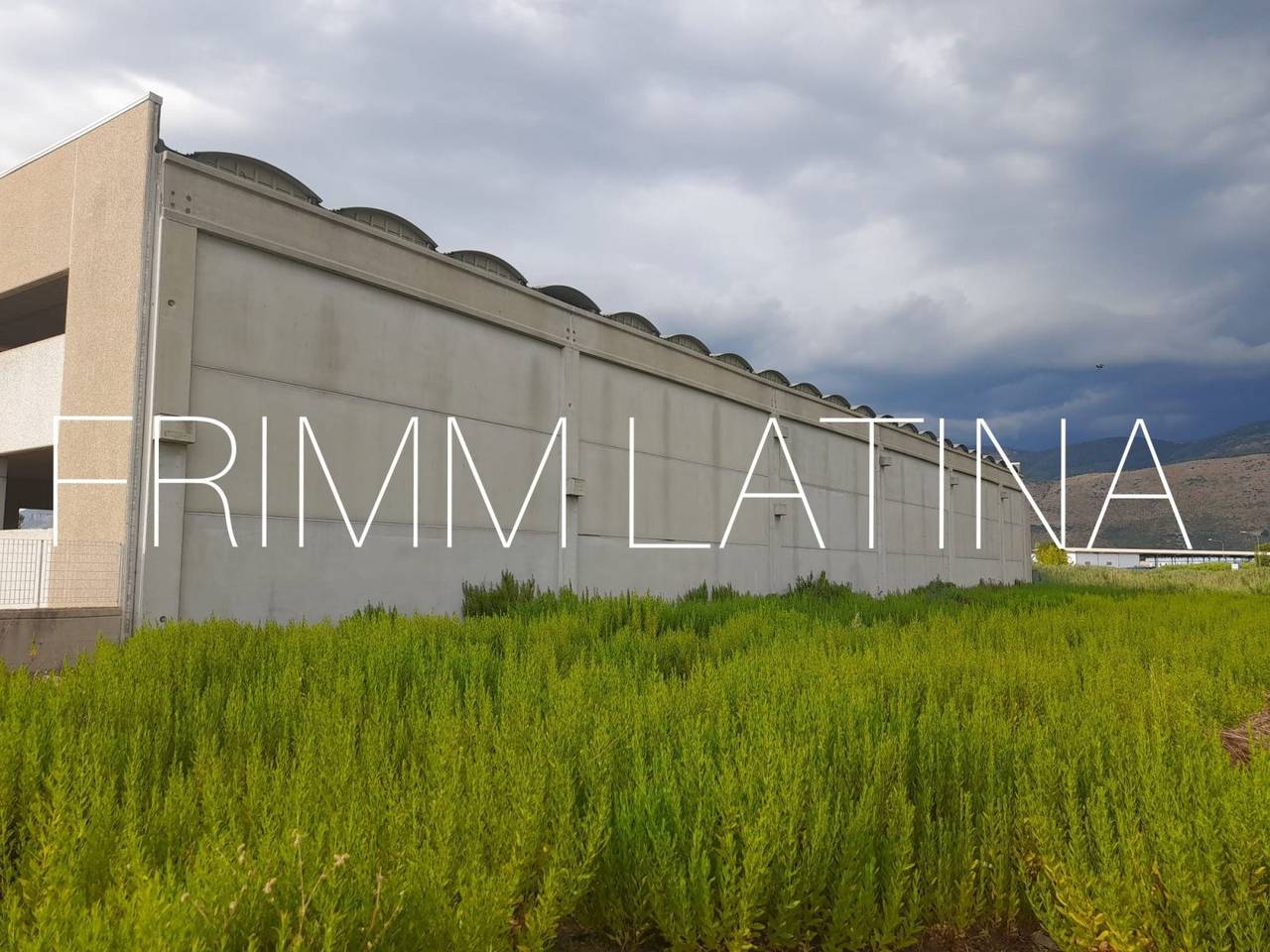 immagine annuncio 4 di 14