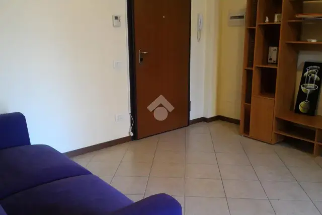 insertion image