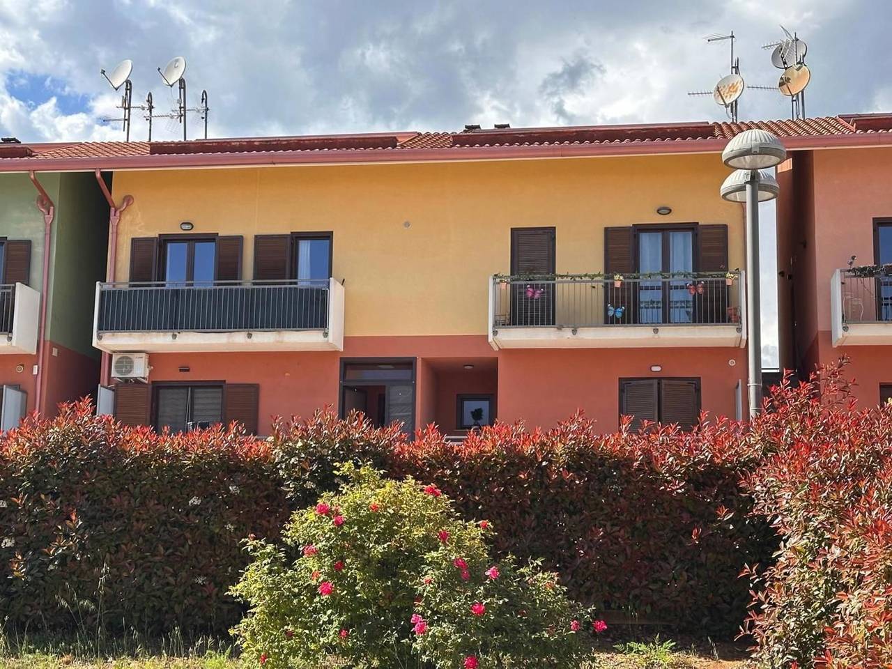 immagine annuncio 1 di 15