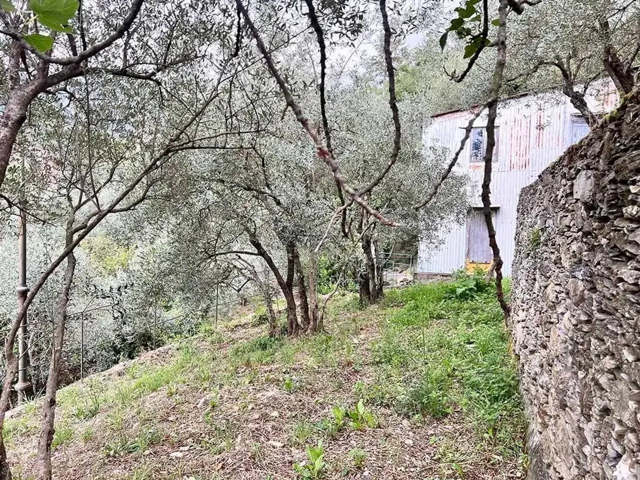 Magazzino in Località Poggio Favaro, Bogliasco, Bogliasco, {3} - Foto 1