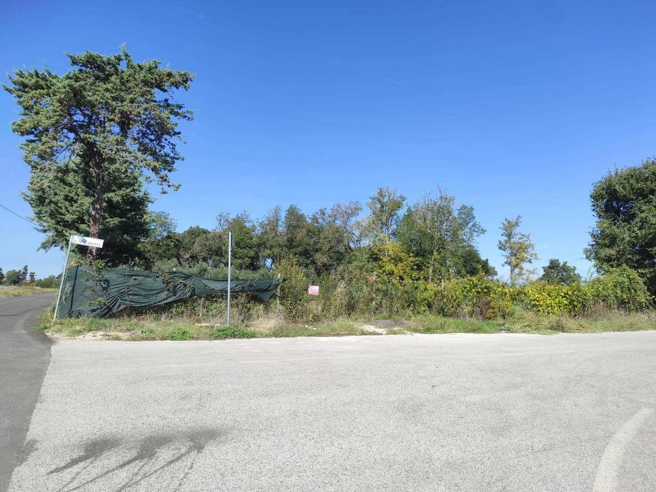 immagine annuncio 2 di 4