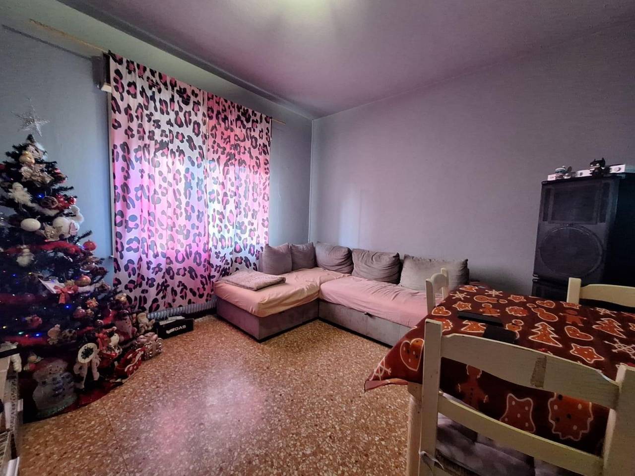 immagine annuncio 1 di 6