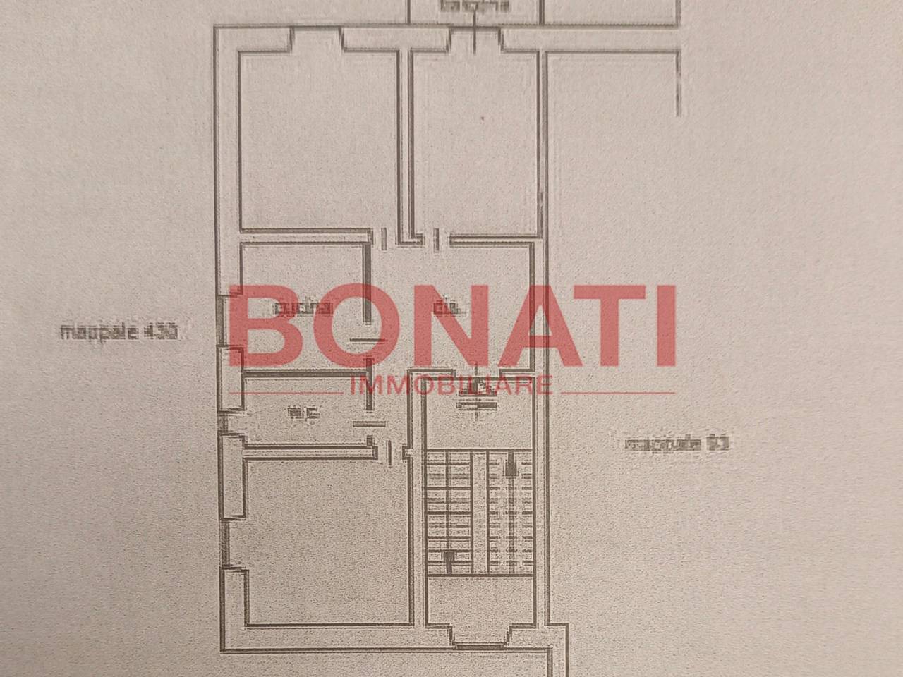 immagine annuncio 11 di 12