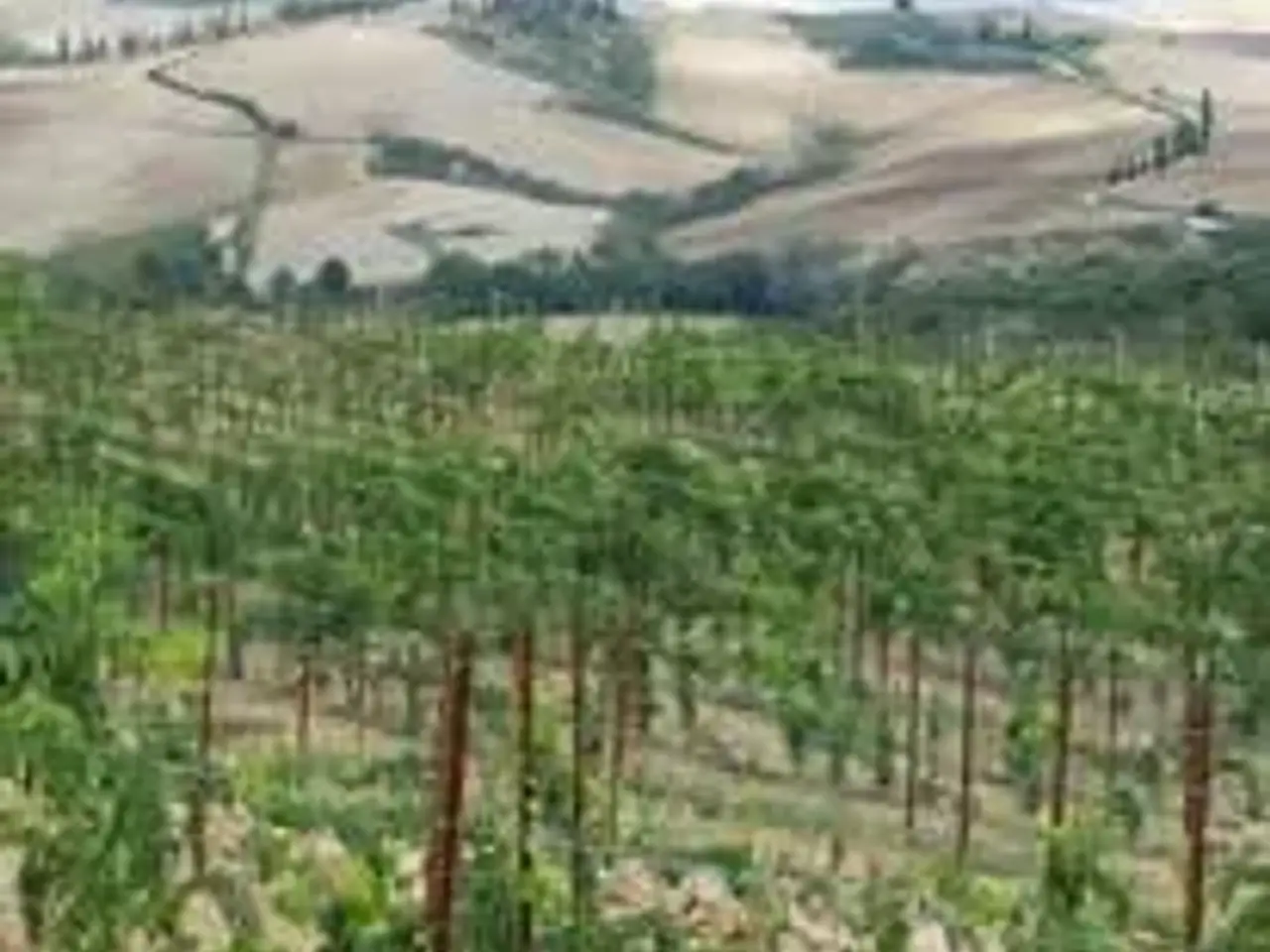 Azienda agricola in , San Quirico D'Orcia, {3} - Foto 2