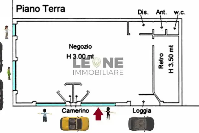 insertion image