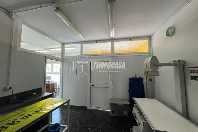 insertion image