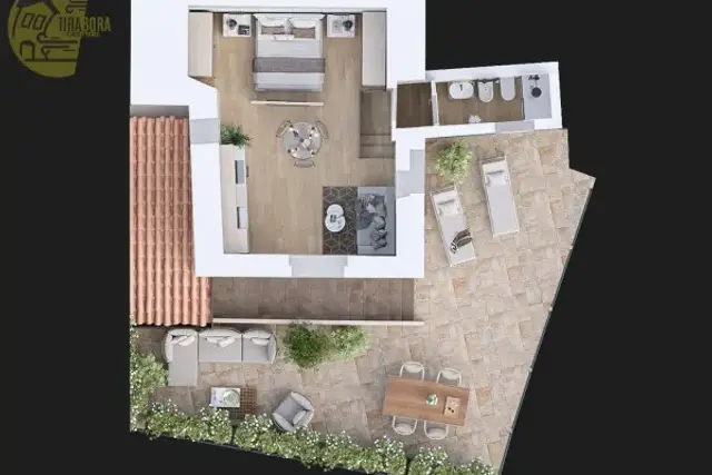 insertion image