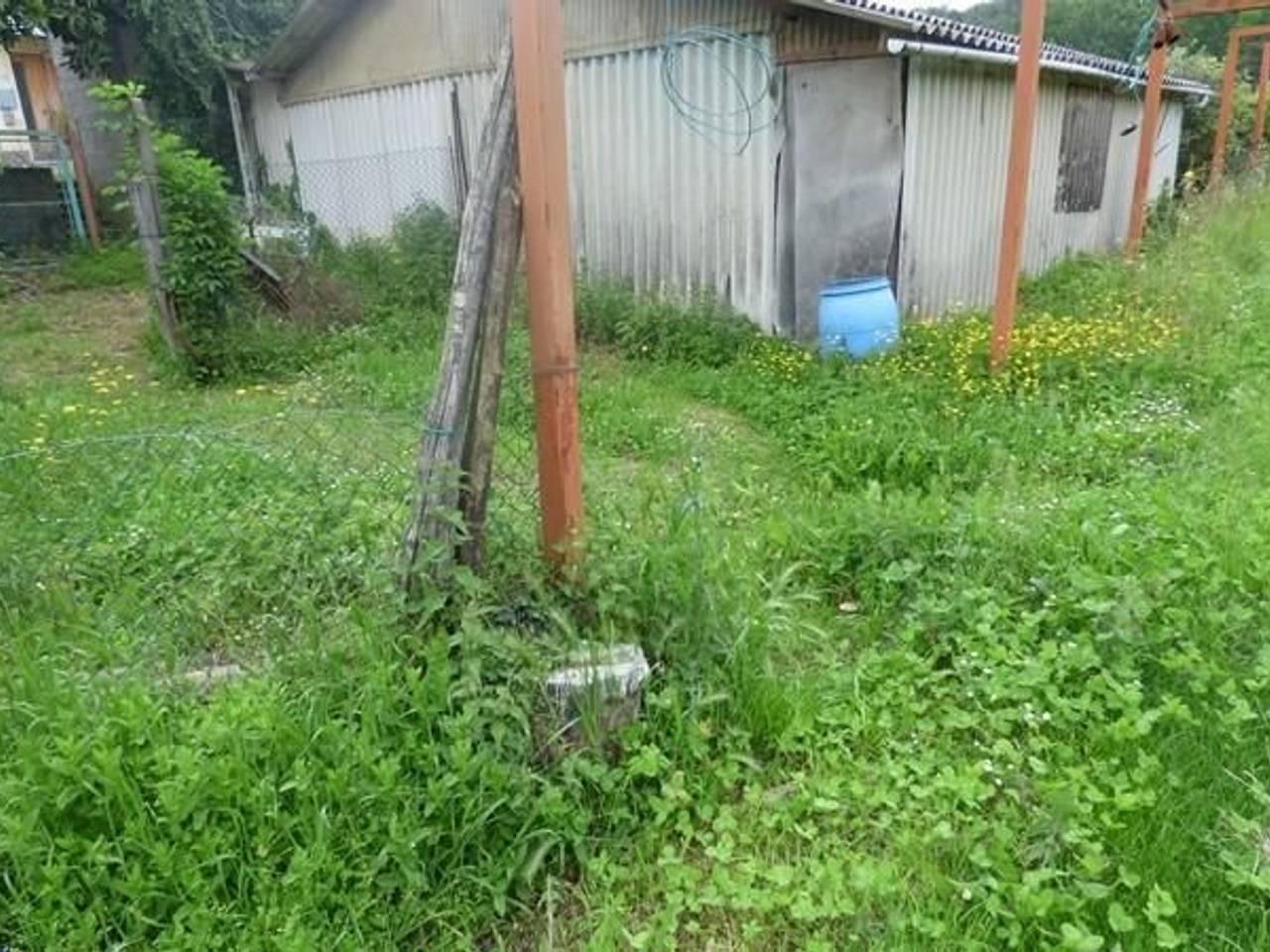 immagine annuncio 7 di 12