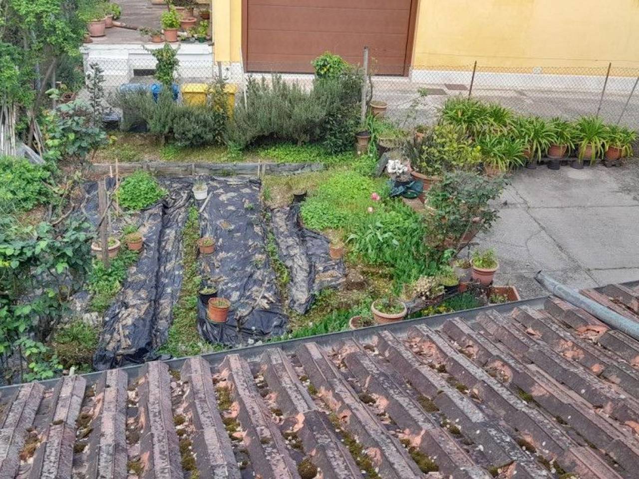 immagine annuncio 8 di 11