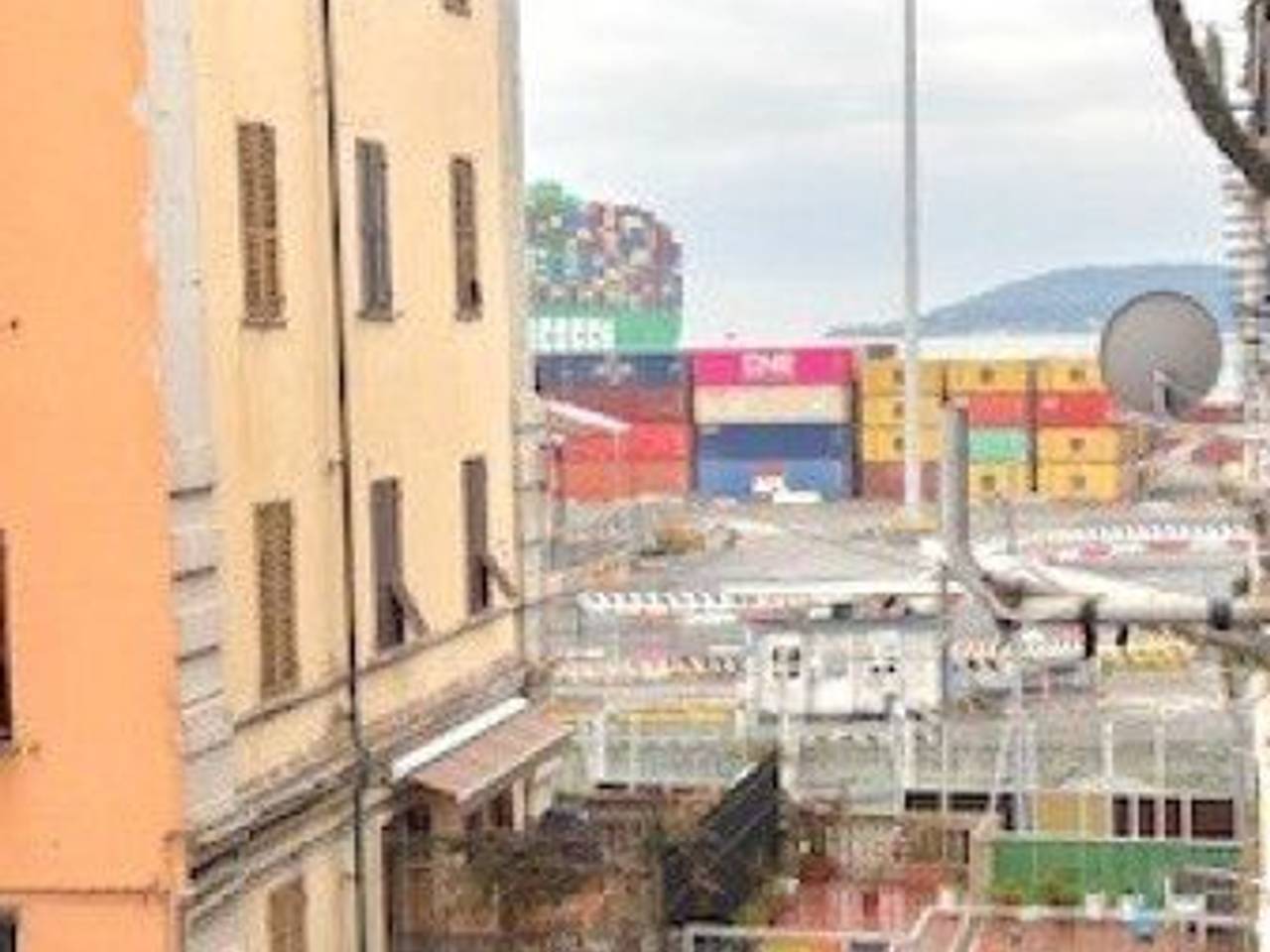 immagine annuncio 1 di 14