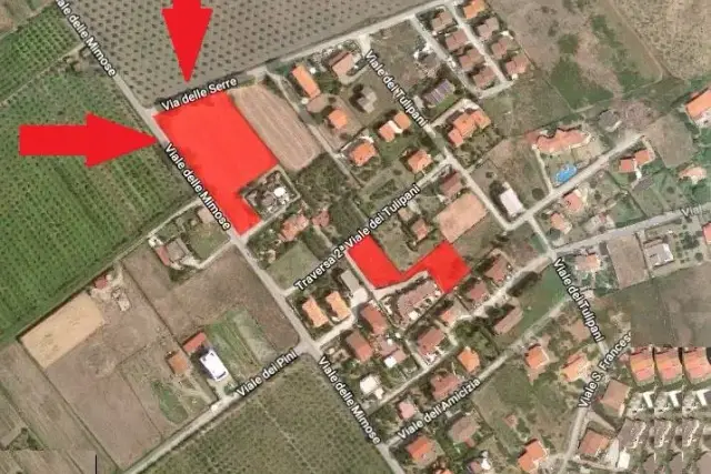 insertion image