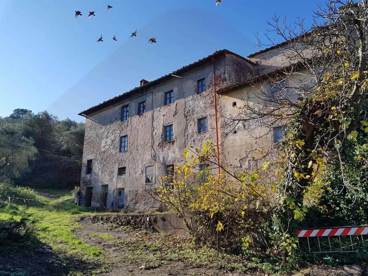 Podere - Tenuta in  Montelupo Fiorentino, Lastra A Signa, {3} - Foto 1