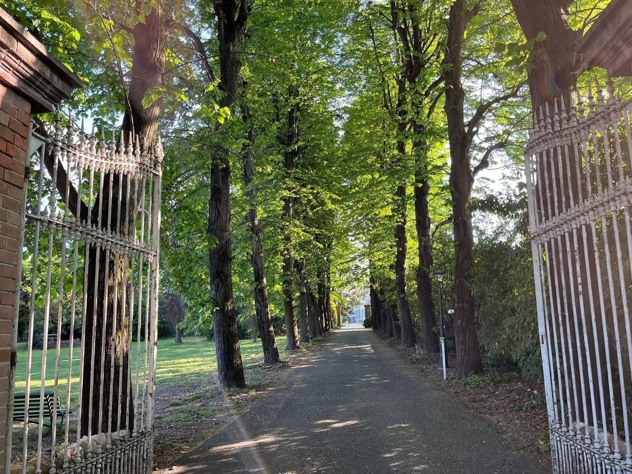 immagine annuncio 1 di 12