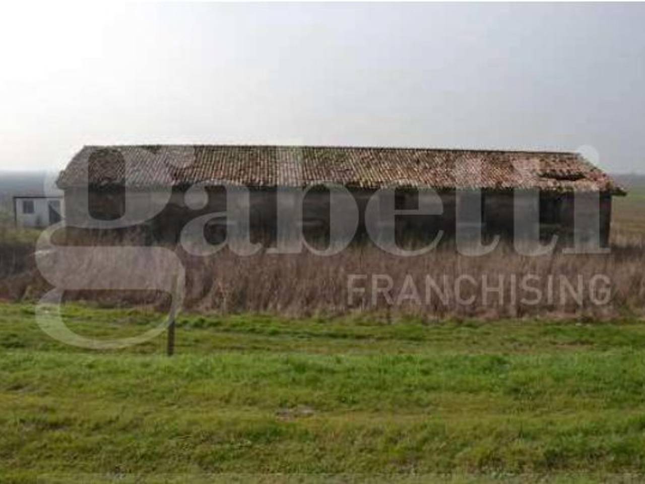 immagine annuncio 5 di 13