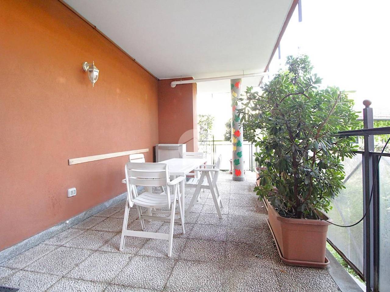immagine annuncio 1 di 14