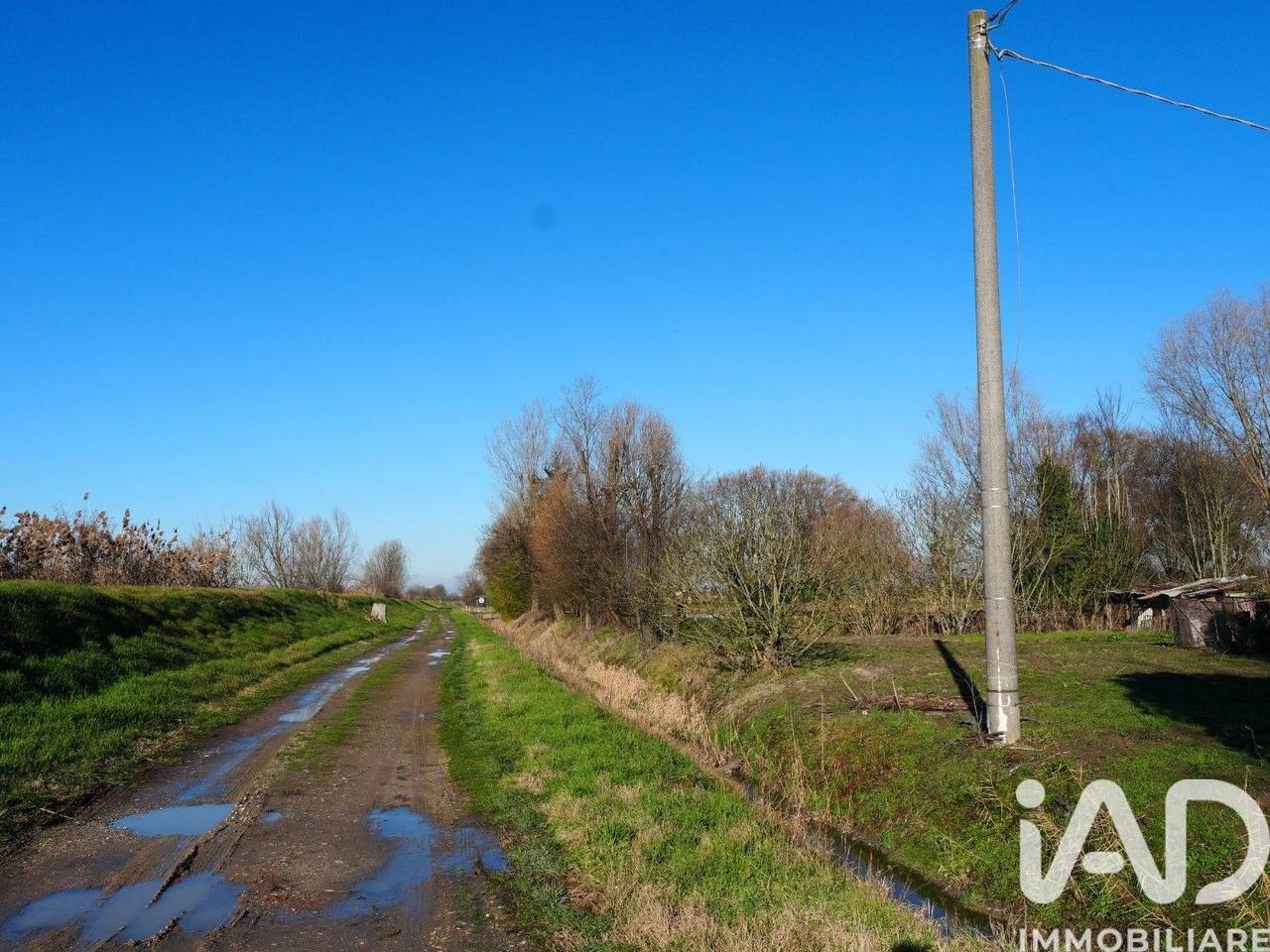 immagine annuncio 8 di 9