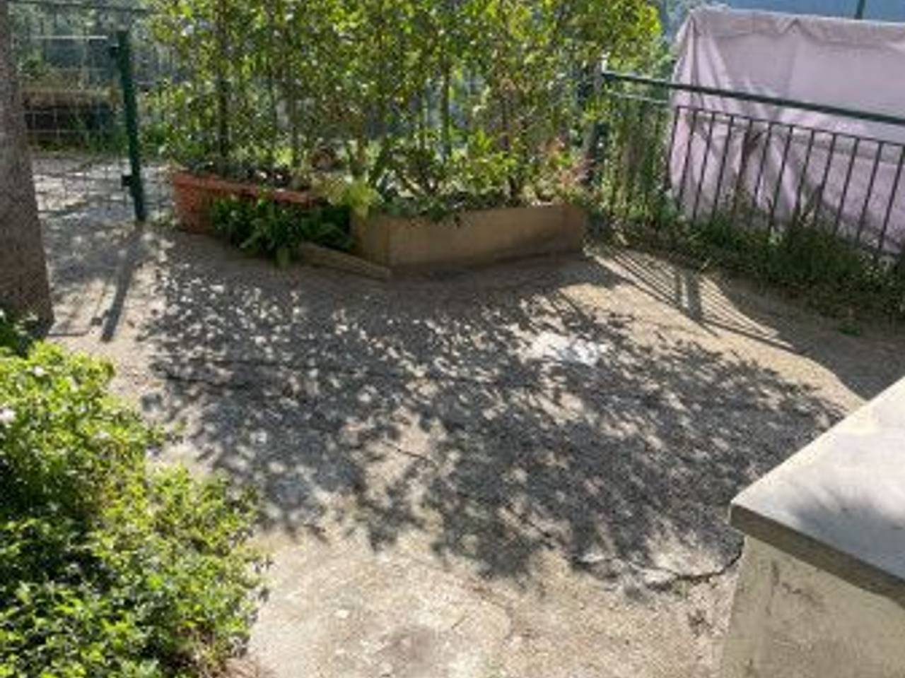 immagine annuncio 6 di 14