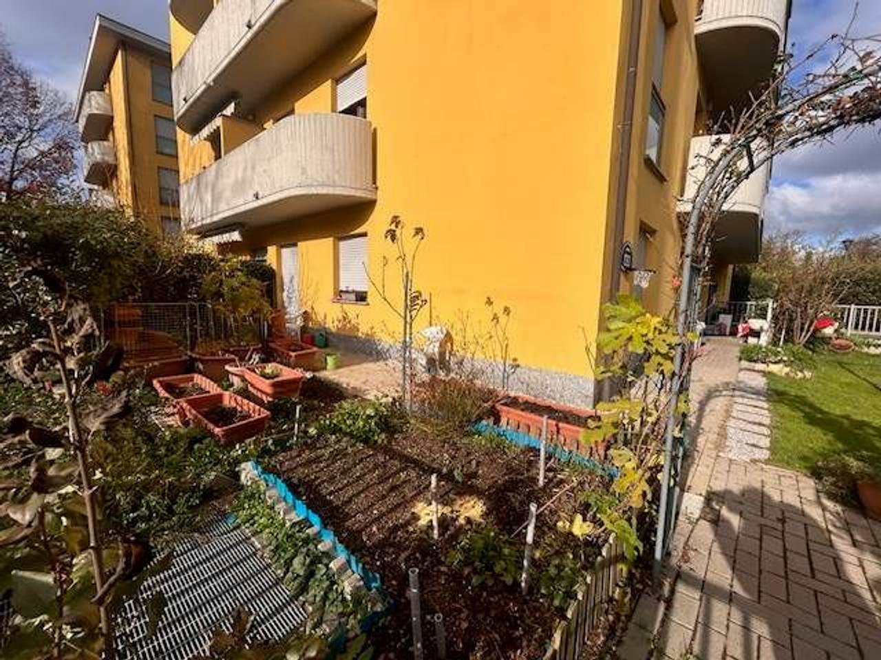 immagine annuncio 8 di 15