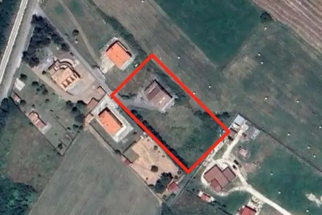 insertion image