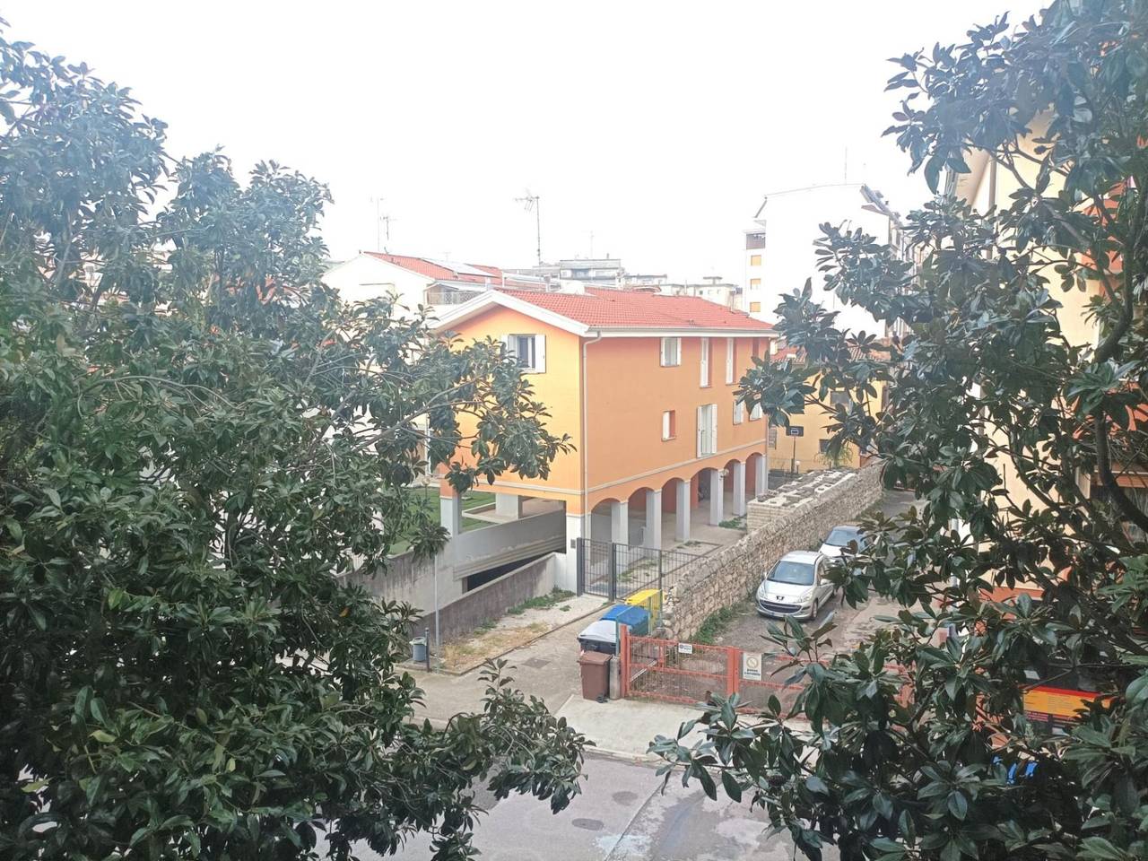 immagine annuncio 9 di 14