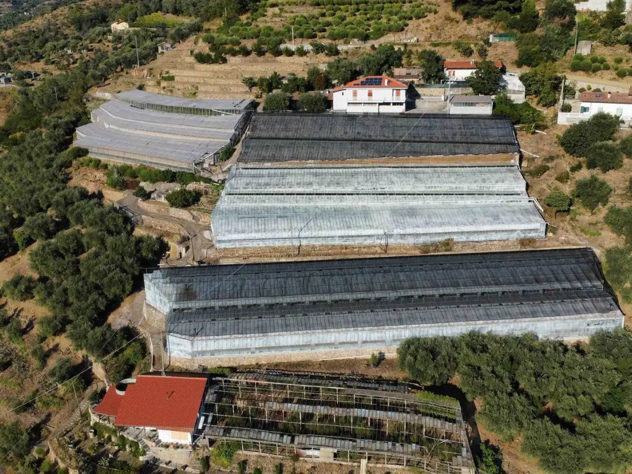 Azienda agricola in , San Biagio Della Cima, {3} - Foto 1